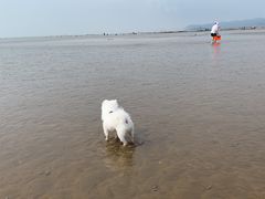 -刘家湾赶海园