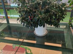 -四维羽毛球馆(北二中路店)