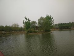 -东郊湿地公园
