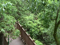 -昆明青龙峡风景区