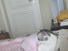 -翔峰炭火鳗鱼(悦泰街里公寓店)