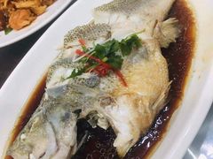 清蒸鲈鱼-同发号饭庄(复兴路店)