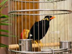 -杭州香格里拉·香宫中餐厅