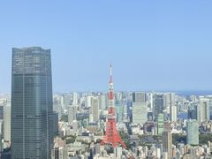 -六本木新城展望台(东京城市景观)