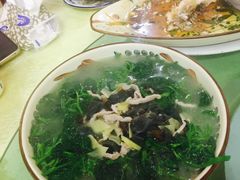 上汤桑叶-铭杨农庄