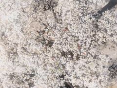 -华南师范大学(广州大学城校区)