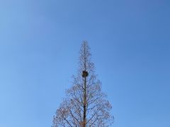 -午潮山国家森林公园