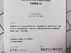 -BLACKSWAN黑天鹅(环球店)