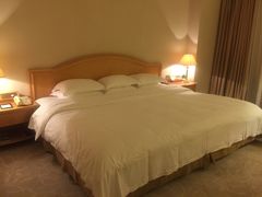 -南京维景国际大酒店(南京博物院店)