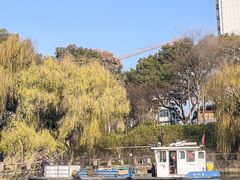 -信义坊码头