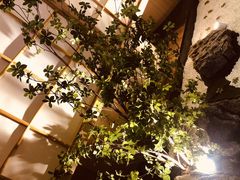 -蜜桃餐厅·伴山(湖滨商业街店)