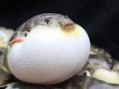 -星巴克臻选(沈阳万象城店)