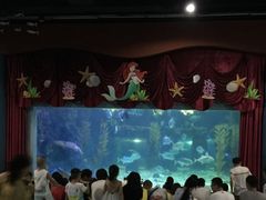 -台州海洋世界