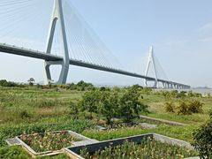 -芒洲湿地公园