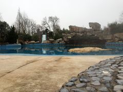 -金孔雀温泉旅游度假村