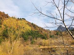 -沣峪森林公园龙潭戏水景区