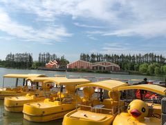 -上海长兴岛郊野公园