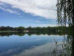 -圆明园停车场