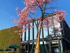 -星巴克(深圳前海企业公馆店)