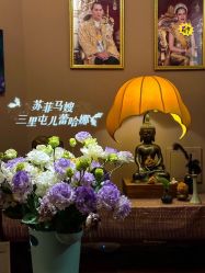 点击看大图 -iSpa