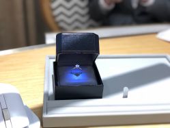 -Zbird钻石小鸟·钻戒婚戒定制高端珠宝私人定制中心