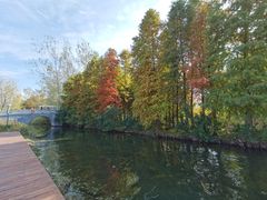 -溱湖国家湿地公园