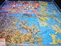 -徐记海鲜(大雁塔|金都店)