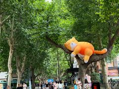 -西安电影制片厂