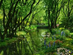 -上海共青森林公园