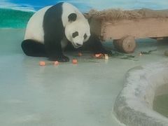-柳州市动物园