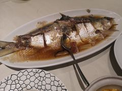 酒蒸鲥鱼-蝶园·装修中(BFC外滩金融中心店)