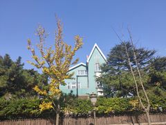 -八大关景区