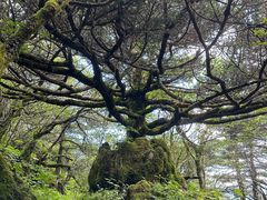 -神农架景区