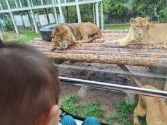 -西安秦岭野生动物园