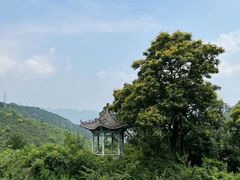 -潭柘寺景区