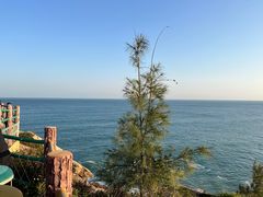 -广东惠东海龟国家级自然保护区