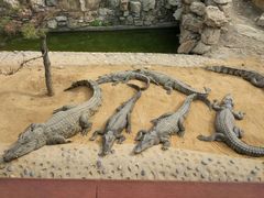 -石家庄市动物园