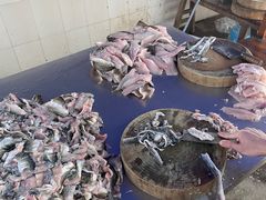 -章记正宗南岗鱼蛋火锅