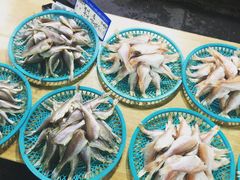 -西归浦每天偶来市场