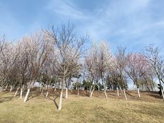 -莫子山公园