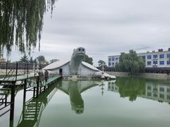 -东方巨龟苑景区