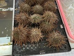 -南沙十九涌渔人码头-南门