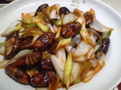 -红色根据地文化主题酒店(太湖街店)