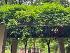 -上海财经大学(国定路校区)