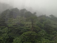 -苍山感通索道