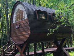 景点-黄海国家森林公园