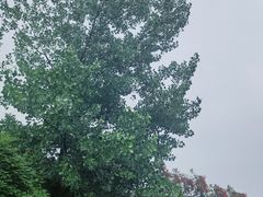 -日出青木·杭帮菜名店