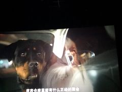 -博纳国际影城(铜锣湾激光巨幕杜比店)