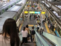 -涩谷全向十字路口