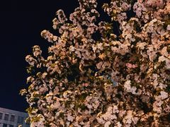 -天津水游城丽筠酒店